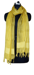 Organza Dupatta silkzon.in