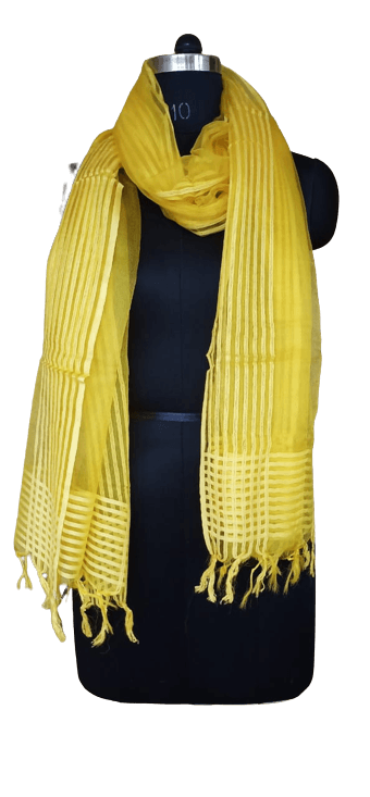 Organza Dupatta