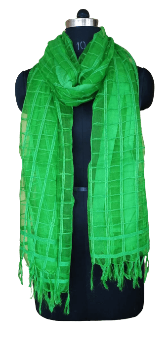 Organza Dupatta silkzon.in
