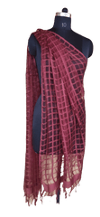 Organza Dupatta silkzon.in