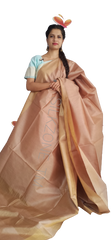 Orgenza Modal Silk Saree SILK ZONE
