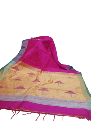 Tussar dupion silk saree SILK ZONE