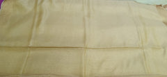 Tissue linen plain saree SILK ZONE