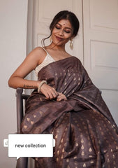Tussar ghicha embroidery saree SILK ZONE