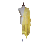 Organza jute dupatta M J HANDLOOMS