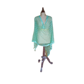 Organza jute dupatta M J HANDLOOMS