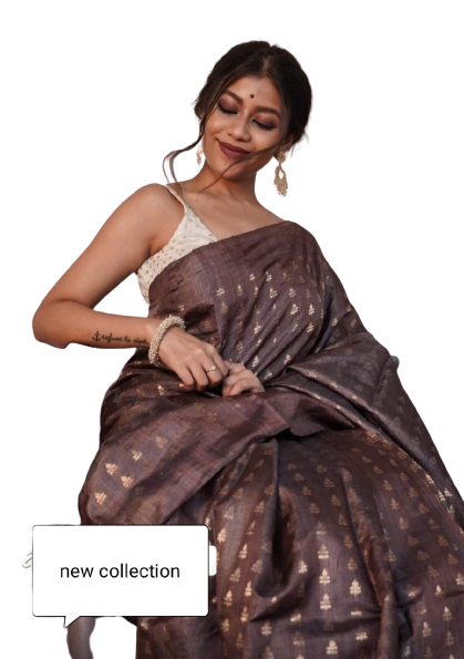 Tussar ghicha embroidery saree SILK ZONE