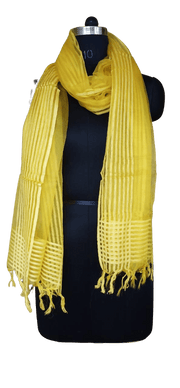 Organza Dupatta WEAVESHOW®