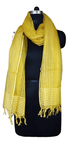 Organza Dupatta