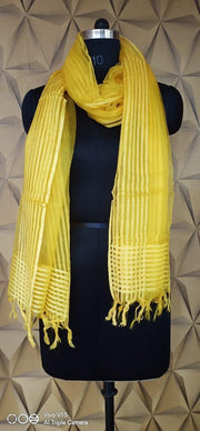 Organza Dupatta WEAVESHOW®