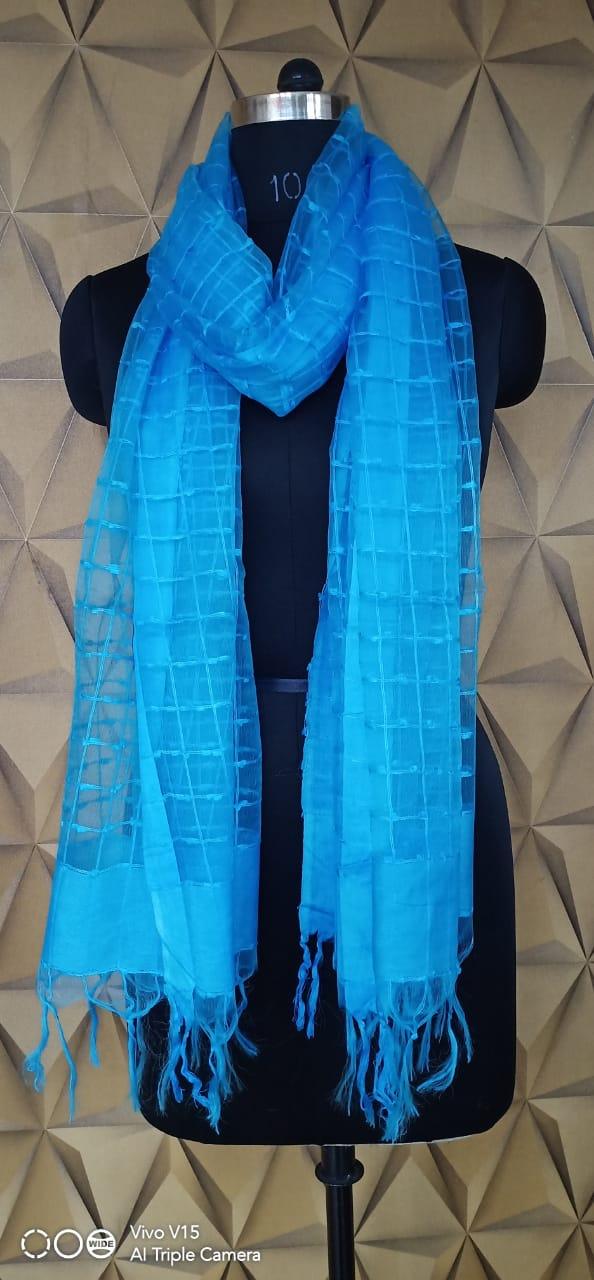 Organza Dupatta silkzon.in