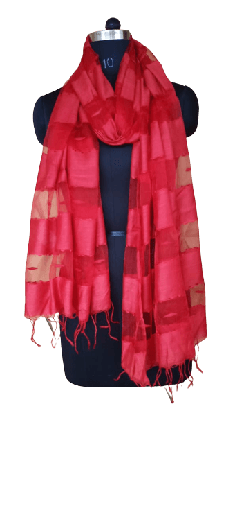 Organza Dupatta silkzon.in