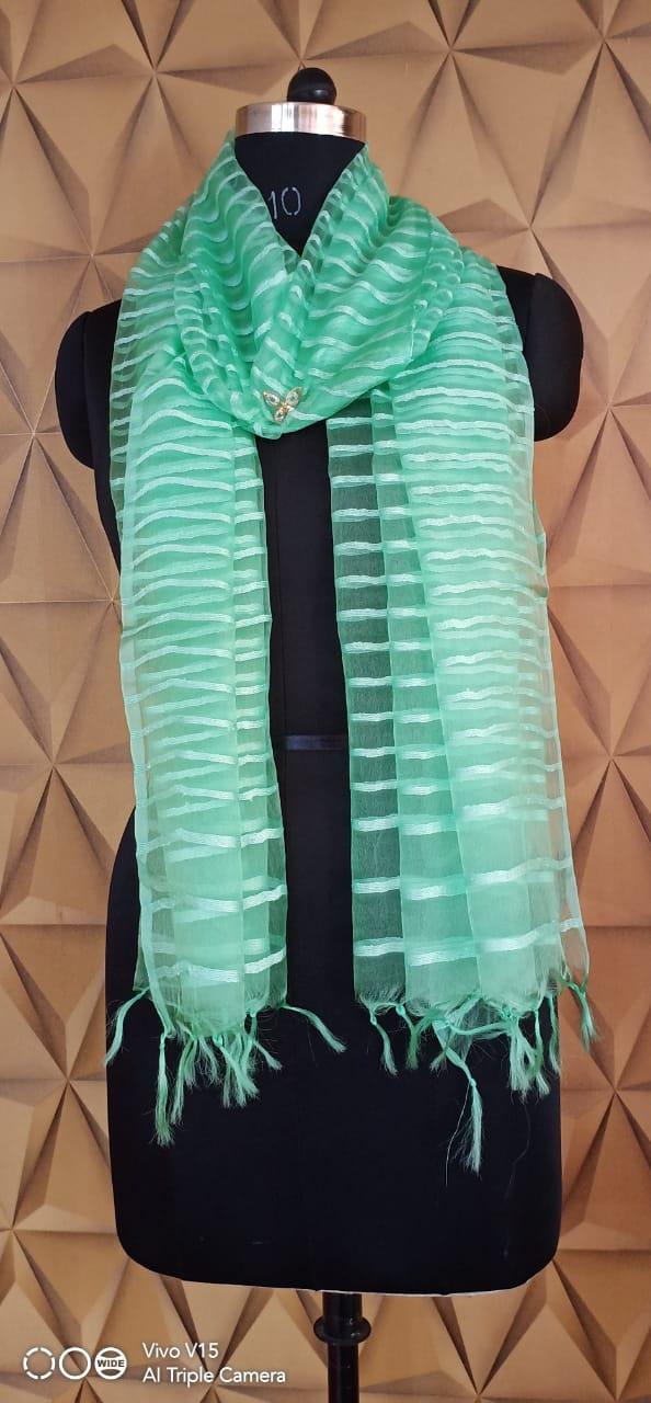 Organza Dupatta silkzon.in