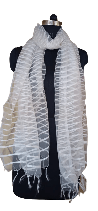 Organza Dupatta silkzon.in