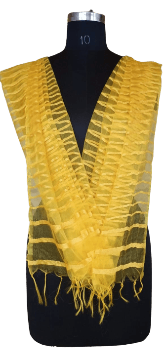 Organza Dupatta silkzon.in