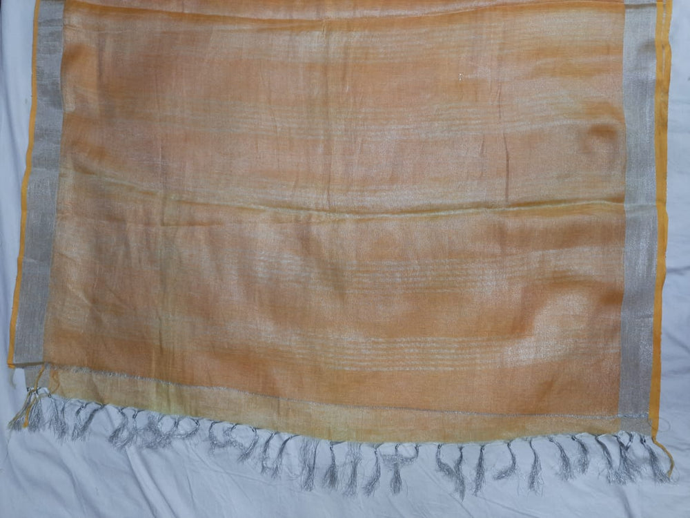 Tissue linen embroidery saree SILK ZONE