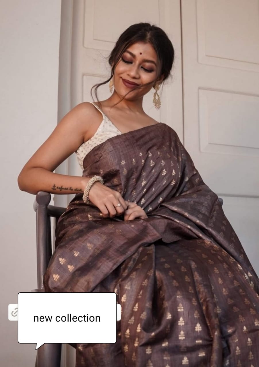 Tussar ghicha embroidery saree SILK ZONE