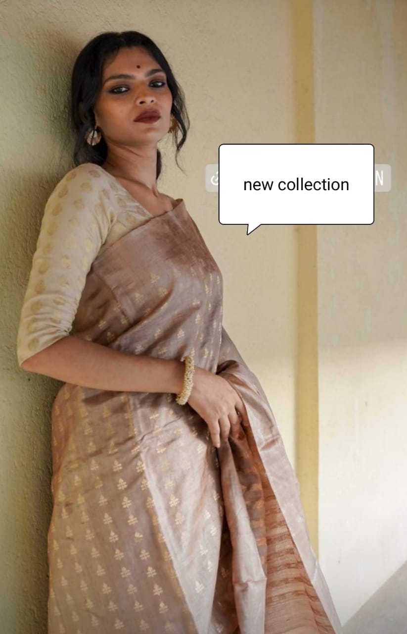 Tussar ghicha embroidery silk saree SILK ZONE
