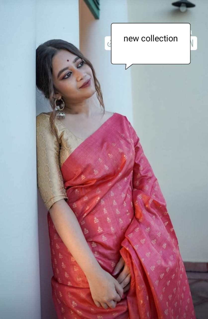 Tussar ghicha embroidery saree SILK ZONE