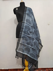 Tussar silk handblock print dupatta SILK ZONE