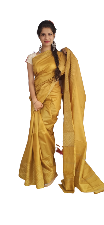 Soft silk jacquard border saree SILK ZONE