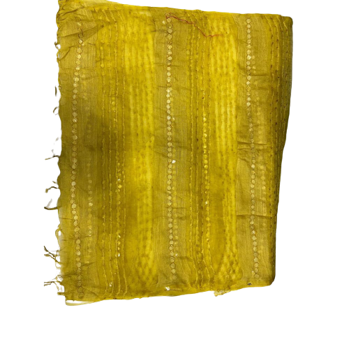 Organza jute dupatta M J HANDLOOMS