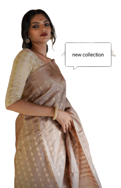 Tussar ghicha embroidery silk saree SILK ZONE