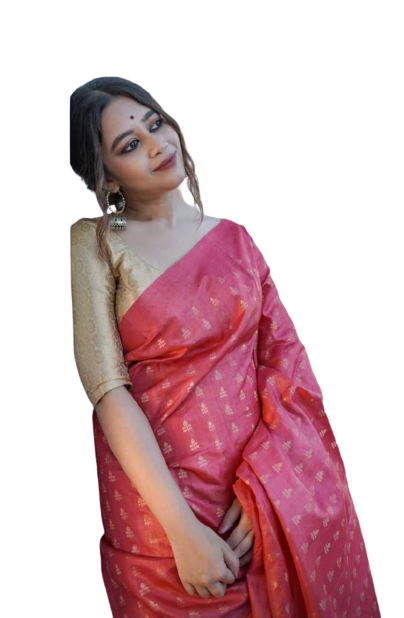Tussar ghicha embroidery saree SILK ZONE