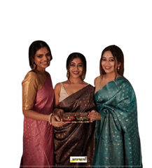 Tussar silk embroidery saree SILK ZONE