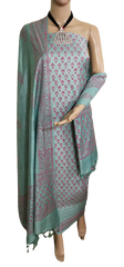 Soft silk hand block print suit PTS